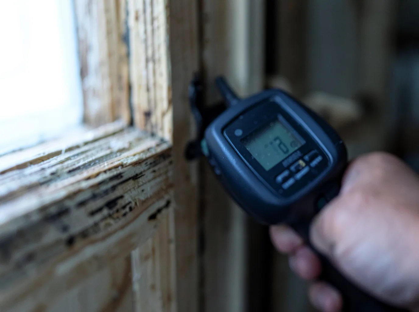 Commercial Water Damage Restoration in Olathe, CO